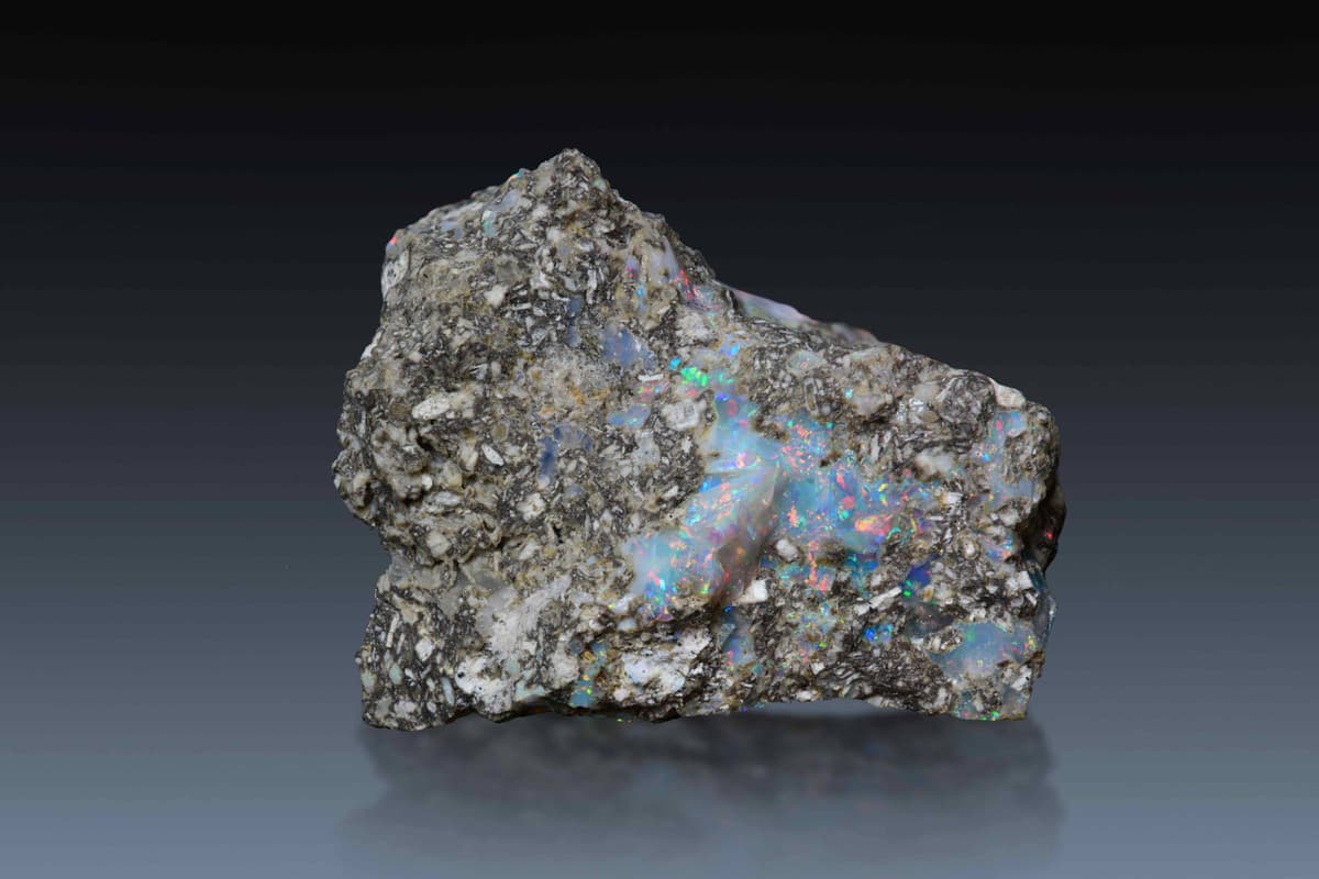 Yophine Opal #02704122 product picture
